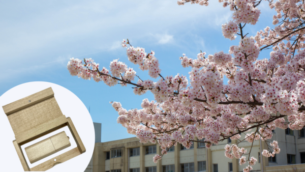 卒業記念品に最適なUSBメモリを徹底解説-1